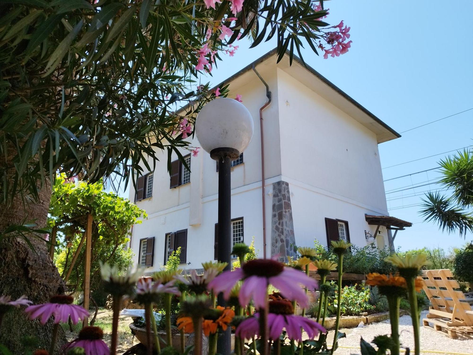 La Domus Di Cosa Bed & Breakfast Ansedonia Exterior photo